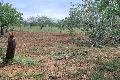 Gaziantep’te ‘süper hücre’ tarım alanlarını vurdu