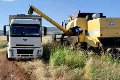 Araban Ovası’nda arpa hasadı yapılmaya başlandı