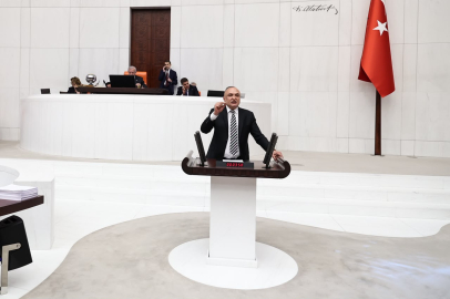 CHP'li Meriç'ten ehliyet yaptırımlarına tepki