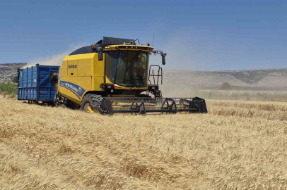 Arpa ve buğday hasadı devam ediyor