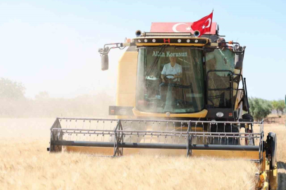Şahinbey’de çiftçiler buğday hasadından memnun