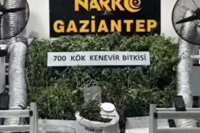 Uyuşturucu imalathanesine baskın