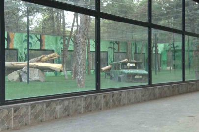 Gaziantep’te ‘Yırtıcı Adası’ heyecanı