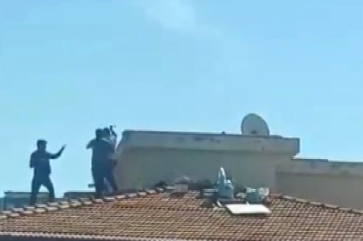Çatıda kavga