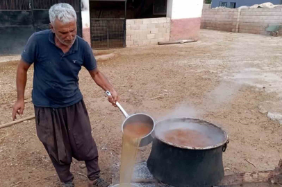 Araban’da gün pekmezi yapımına başlandı