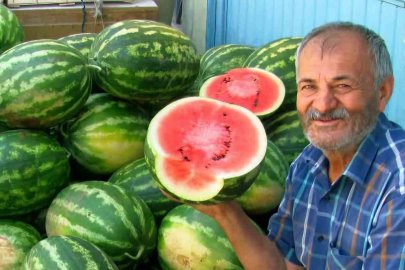 Araban Ovası’nda ikinci ürün güz karpuzu hasadı devam ediyor