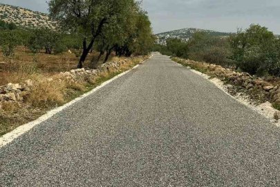 Araban’da bağlantı yolu asfaltı tamamlandı