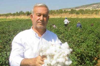 2026-2027 yılı pamuk alım fiyatları açıklandı