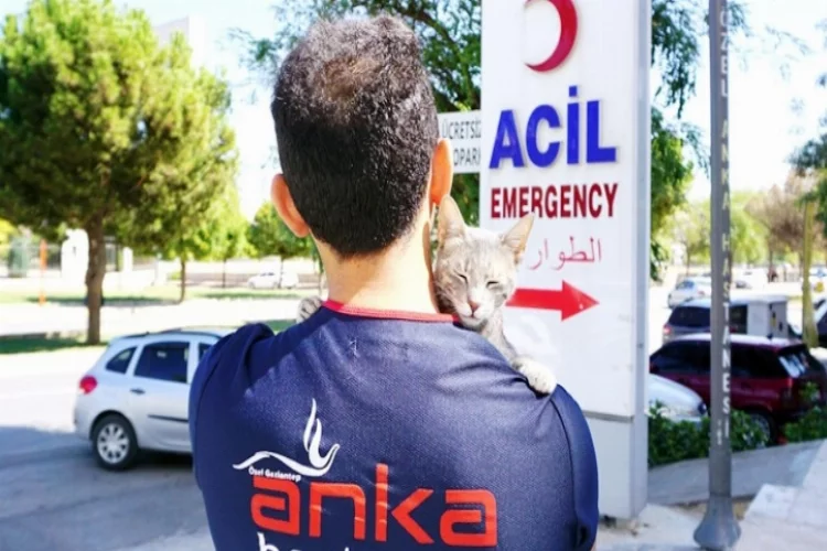 Anka'dan sokak hayvanlarına destek