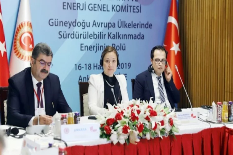 Bakbak, Türkiye’nin enerji stratejisine değindi