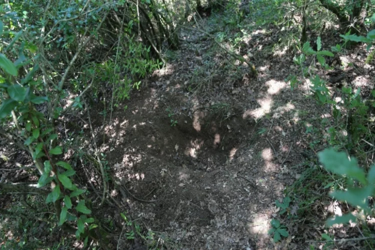 Eşinin yeğeni tarafından öldürülen kadının gömüldüğü yer görüntülendi