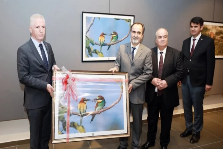 Gaziantep'in kuşları ŞSM'de görücüye çıktı