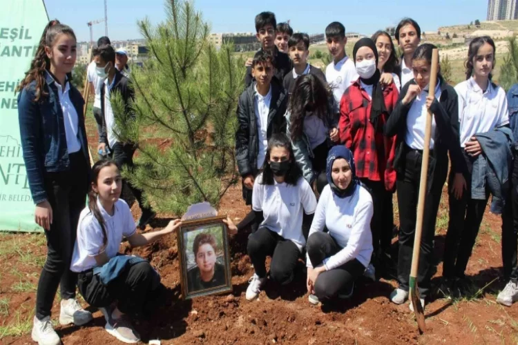 Gaziantep’te lise öğrencilerinden hatıra ormanı
