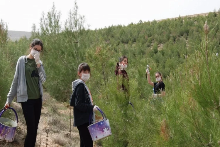 GKV'liler Dünya Su Günü etkinliklerinde orman temizledi