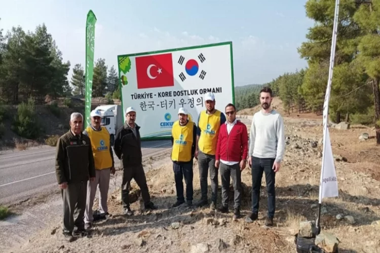 Kilis’te Türkiye-Kore Dostluk Ormanı’nda 20 bin fidan toprakla buluştu