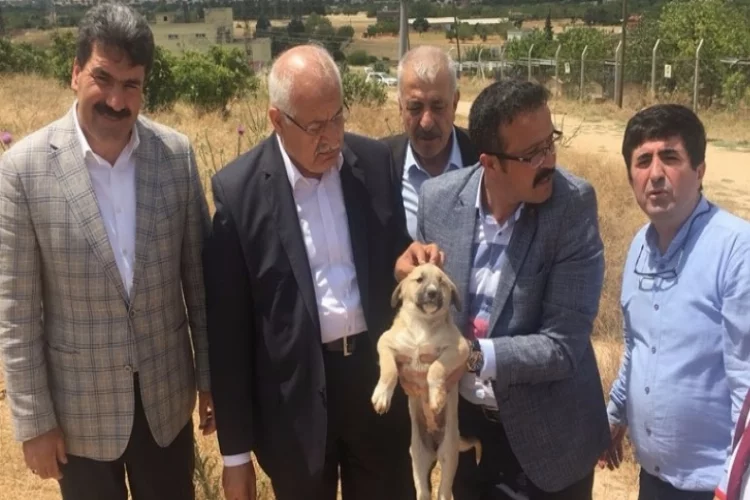 Milletvekili Erdoğan'dan hayvan dostlarına müjde