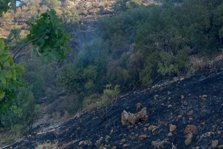 Nizip'te orman yangını korkuttu