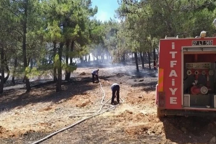 Orman yangını söndürüldü