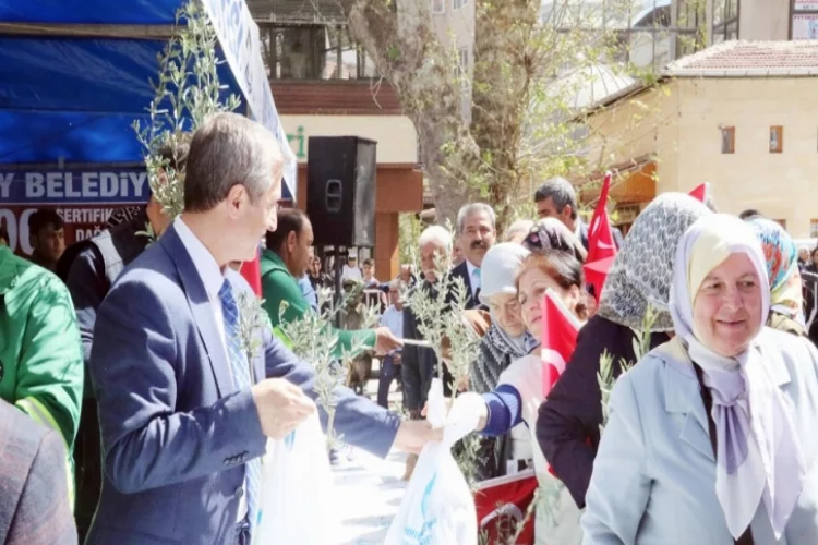 Şahinbey Belediyesi zeytin fidanı dağıttı
