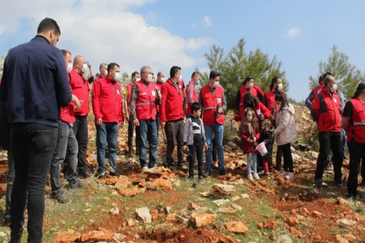 Suriye’de şehit olan Kızılay görevlisi anısına hatıra ormanı kuruldu