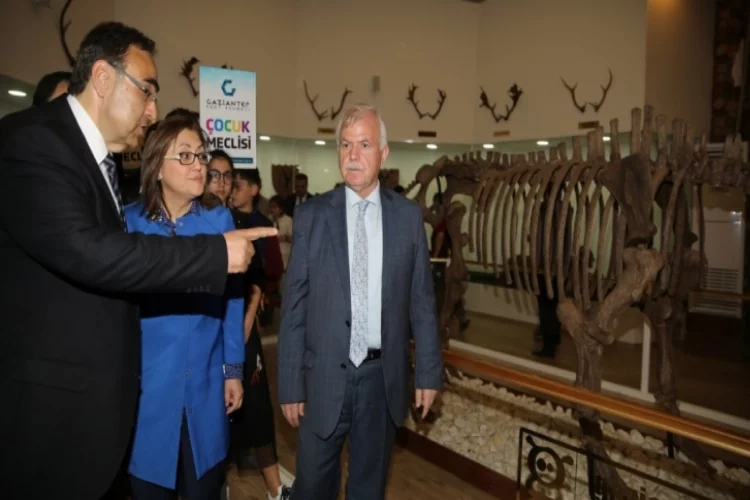 Türkiye'nin ilk ve tek zooloji müzesi açıldı