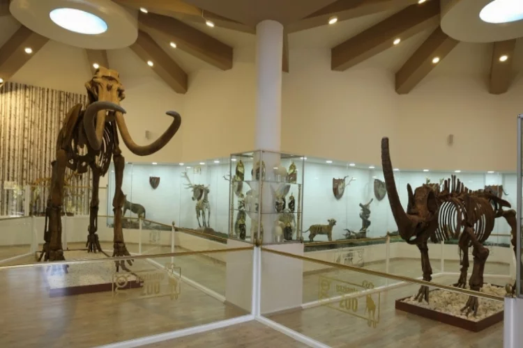 Türkiye'nin ilk ve tek zooloji ve doğa müzesi açılıyor